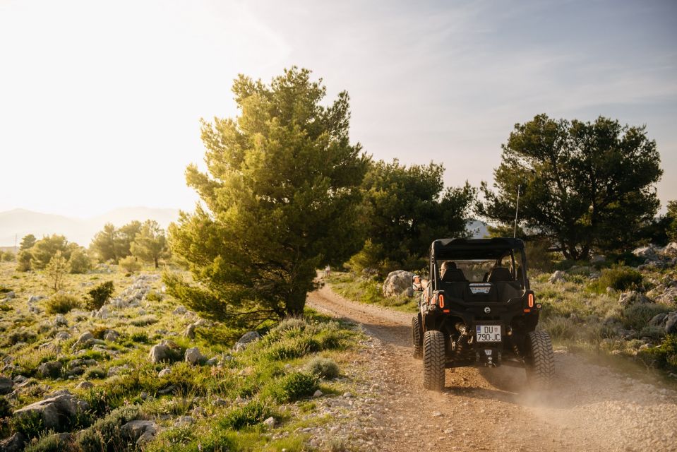 Dubrovnik: Private Buggy Guided Panorama Tour (2 Hours) - Customer Reviews