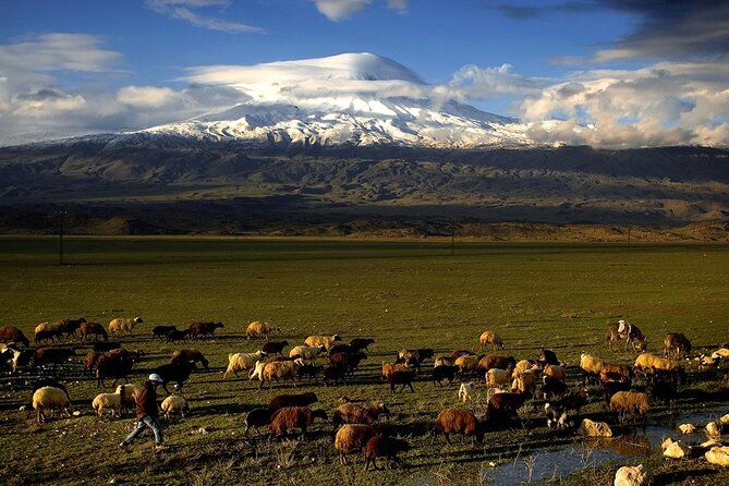 Eastern Turkey 12-DAY Sightseeing Tour From Trabzon - Biblical Mountain Ararat