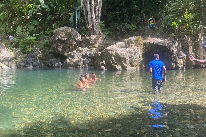 El Yunque Guided Waterfall Experience With Transport - Knowledgeable and Safety-Focused Guides