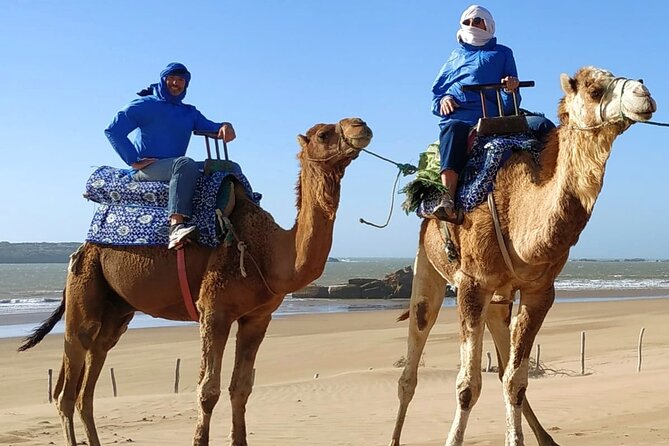 Essaouira: 3-Hour Camel Tour - Tour Operator