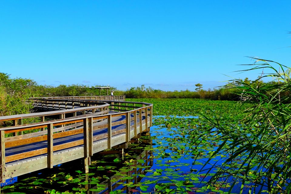 Everglades National Park: Self-Guided Driving Audio Tour - Customer Reviews and Feedback