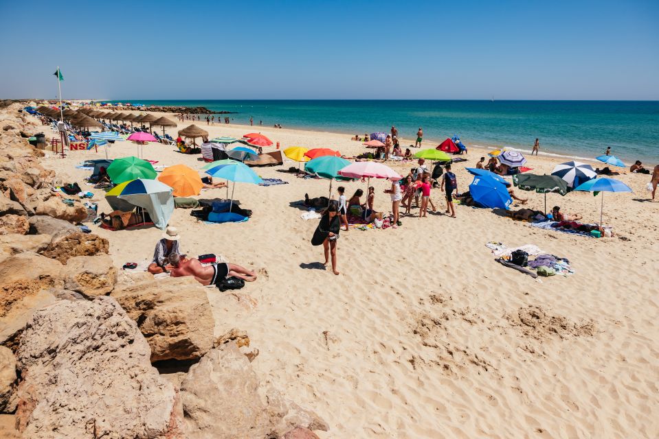 Faro: Deserta Island and Farol Island Catamaran Boat Trip - Recommendations and Important Information