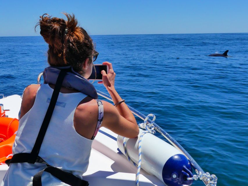 Faro: Dolphin and Wildlife Watching in the Atlantic Ocean - Transportation and Accessibility