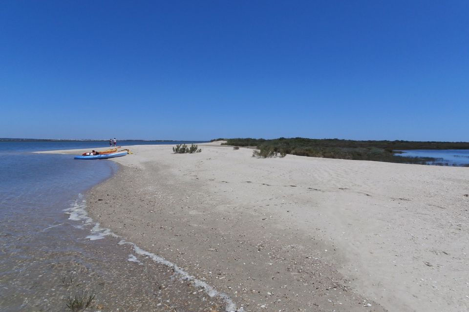 Faro: Kayak Hire in Ria Formosa Natural Park - Kayak Comfort and Design