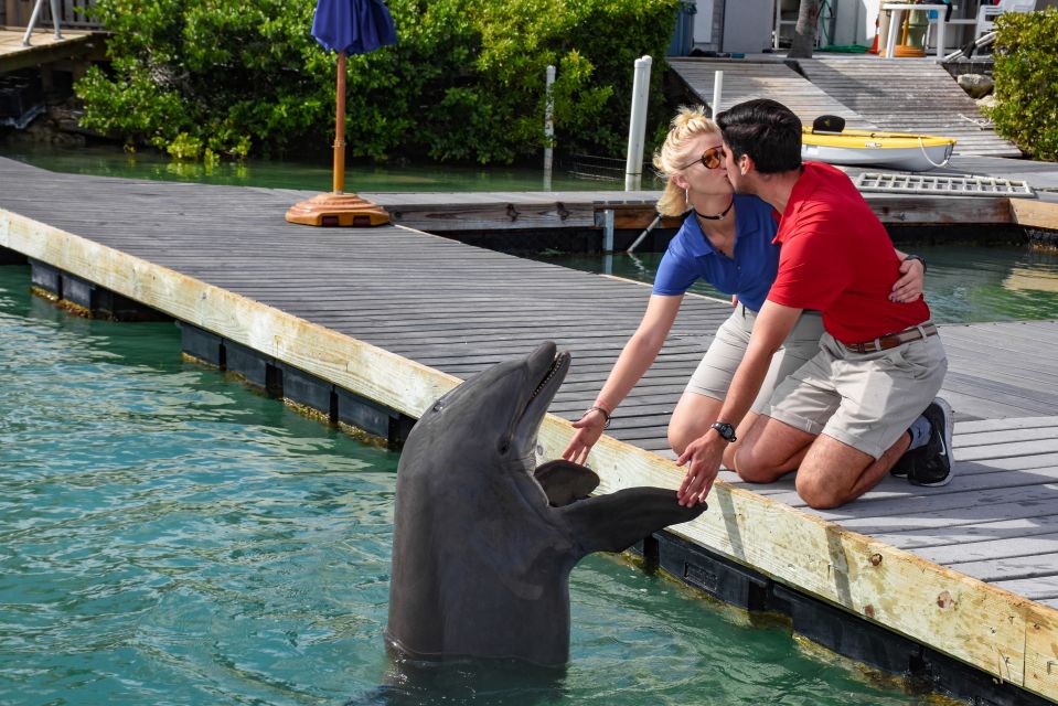 Florida Keys: Dockside Dolphin Experience - Customer Reviews and Ratings