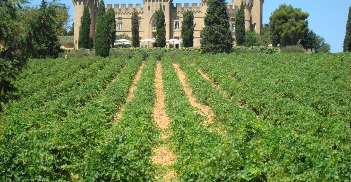 From Aix-En-Provence: Châteauneuf Du Pape Wineries Day Trip - Exclusions and Extras