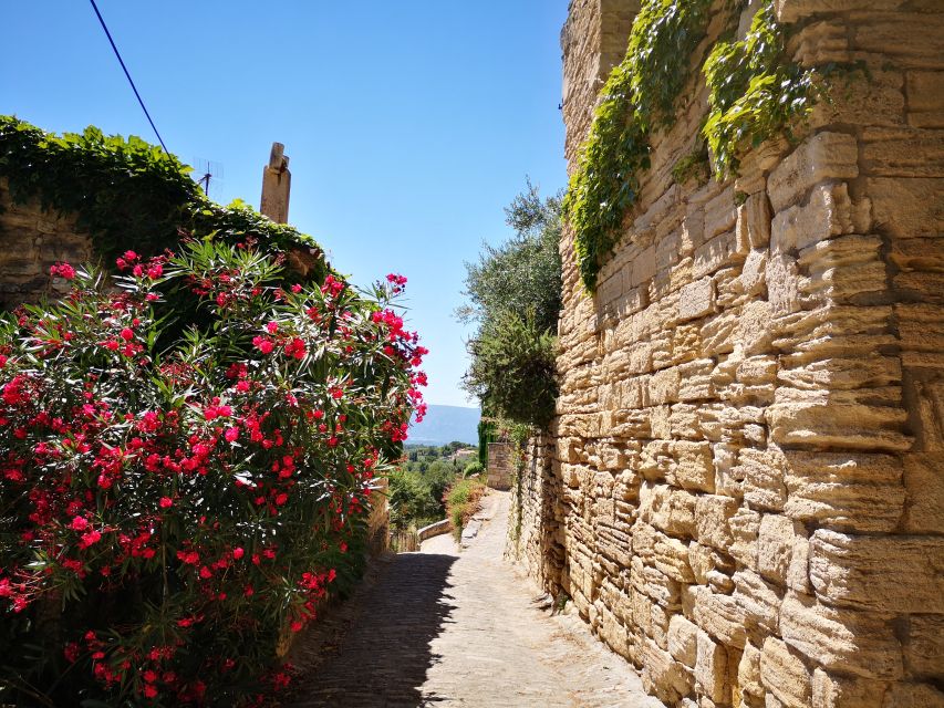 From Aix En Provence: Luberon Villages Full-Day Guided Tour - Important Information