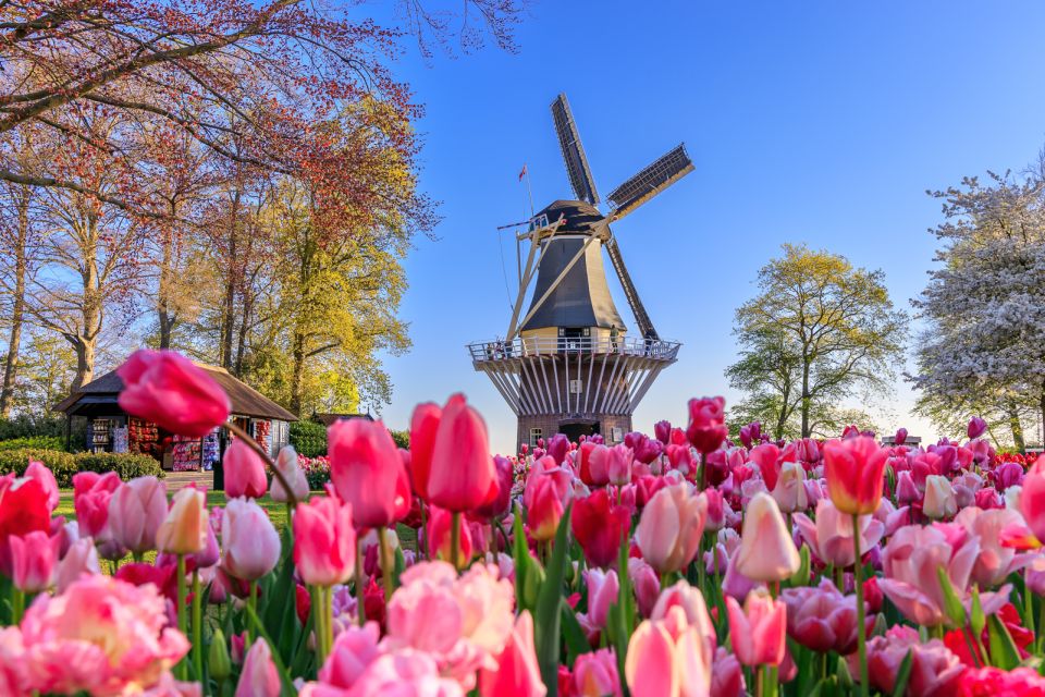 From Amsterdam: Keukenhof Flower Park Transfer & Ticket 2025 - Frequently Asked Questions