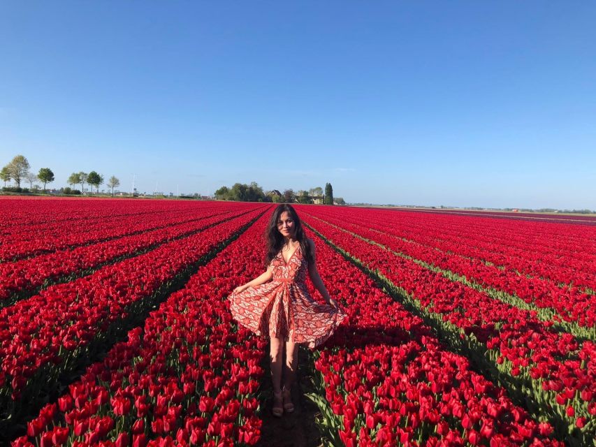 From Amsterdam: Tulip Tour Keukenhof & City Tour Delft - Customer Feedback