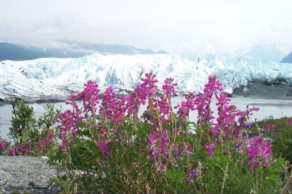 From Anchorage: Matanuska Glacier Winter Tour With Lunch - Booking and Pricing Details