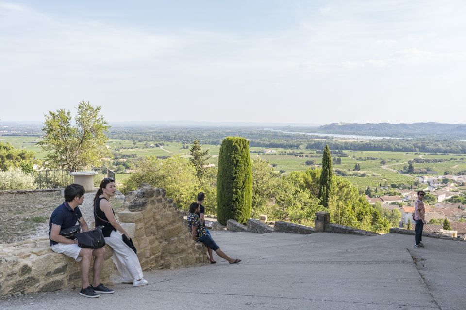 From Avignon: Avignon & Châteauneuf Du Pape Wine Tour - Comfortable Shoes and Important Information