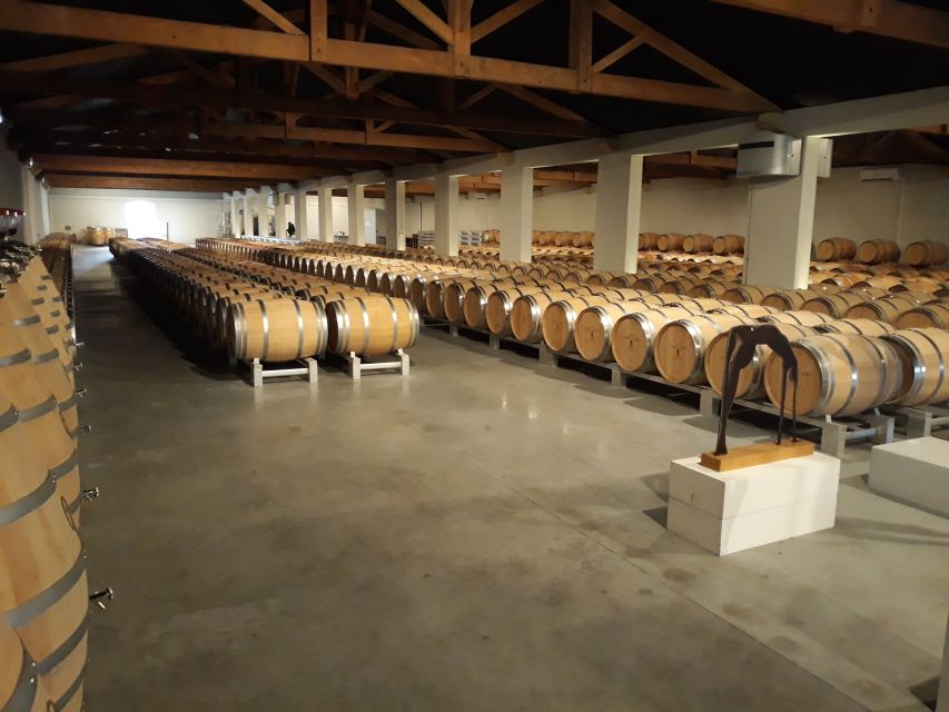 From Bordeaux: Médoc Vineyard and Château Tour by Sidecar - Important Considerations