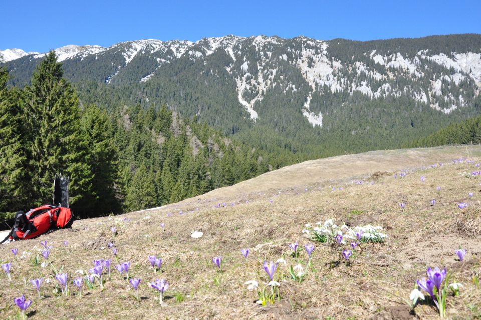 From Brasov: Piatra Craiului National Park 2-Day Guided Trek - Booking and Cancellation Policy