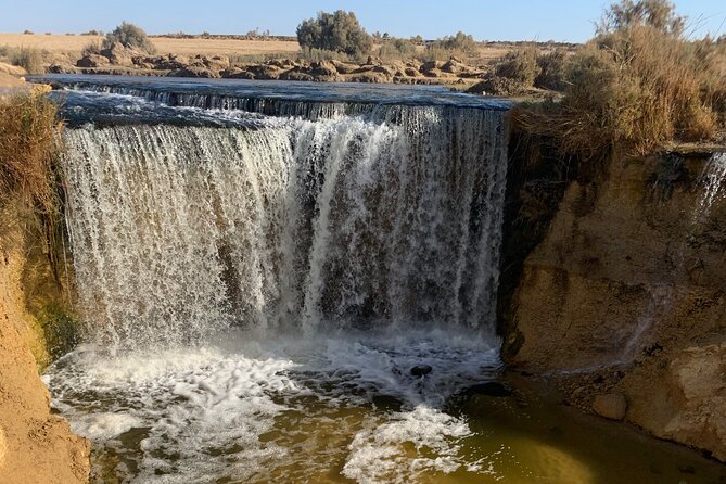 From Cairo: Desert Safari, Waterfalls, Sand Boarding and Camel Ride With Lunch - Camel Ride and Bedouin Lunch