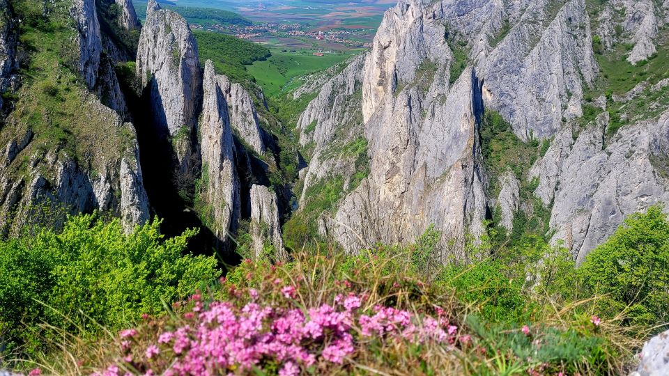 From Cluj: Turda Salt Mine, Gorge, and Remetea Full-Day Trip - Participant Information