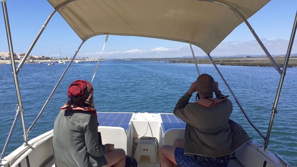 From Faro: Ria Formosa Eco-friendly Solar Boat Tour - Discovering Local Shellfish Farming