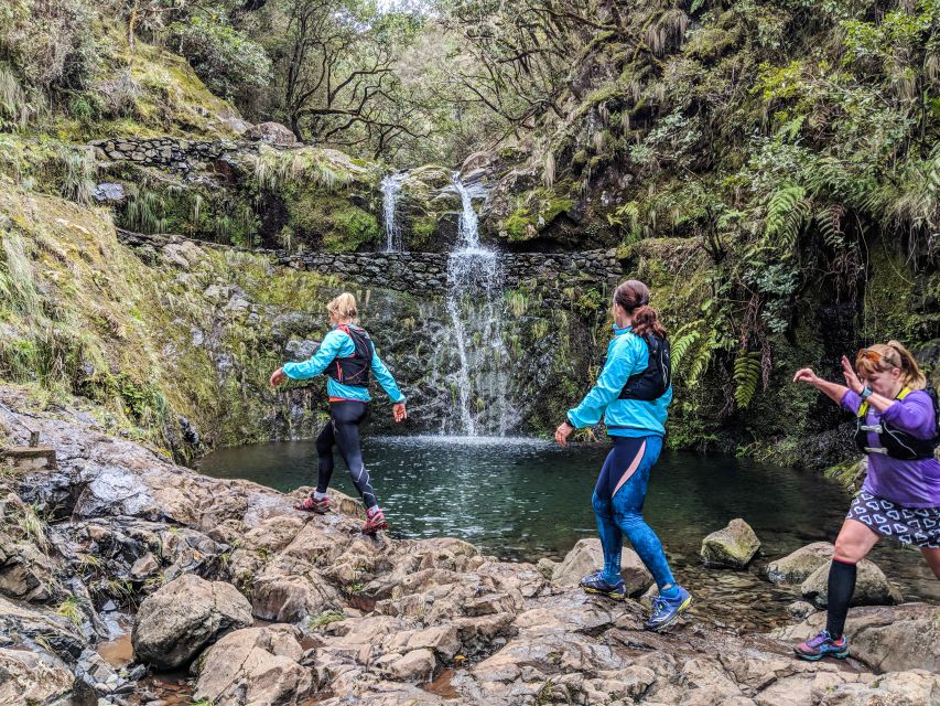 From Funchal: Easy to Moderate Green Levada Running Tour - Frequently Asked Questions