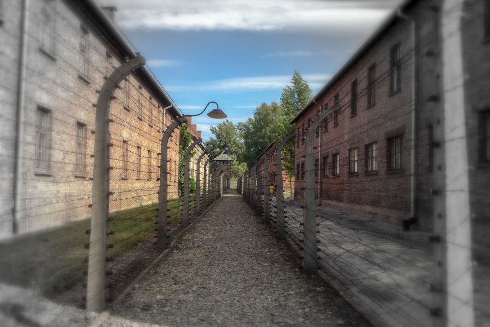 From Krakow: Auschwitz-Birkenau Private or Shared Tour - Customer Ratings and Feedback