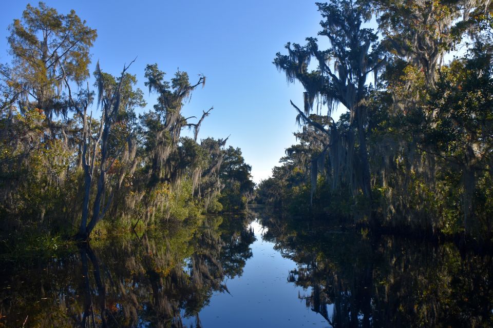 From Lafitte: Swamp Tours South of New Orleans by Airboat - Booking and Reservations