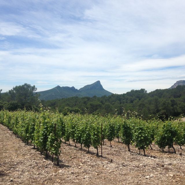 From Montpellier: Pic Saint-Loup Wine and Food Tour - Frequently Asked Questions