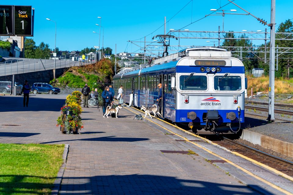 From Narvik: Round-Trip Arctic Train Ride on Ofoten Railway - Crucial Iron Ore Transportation