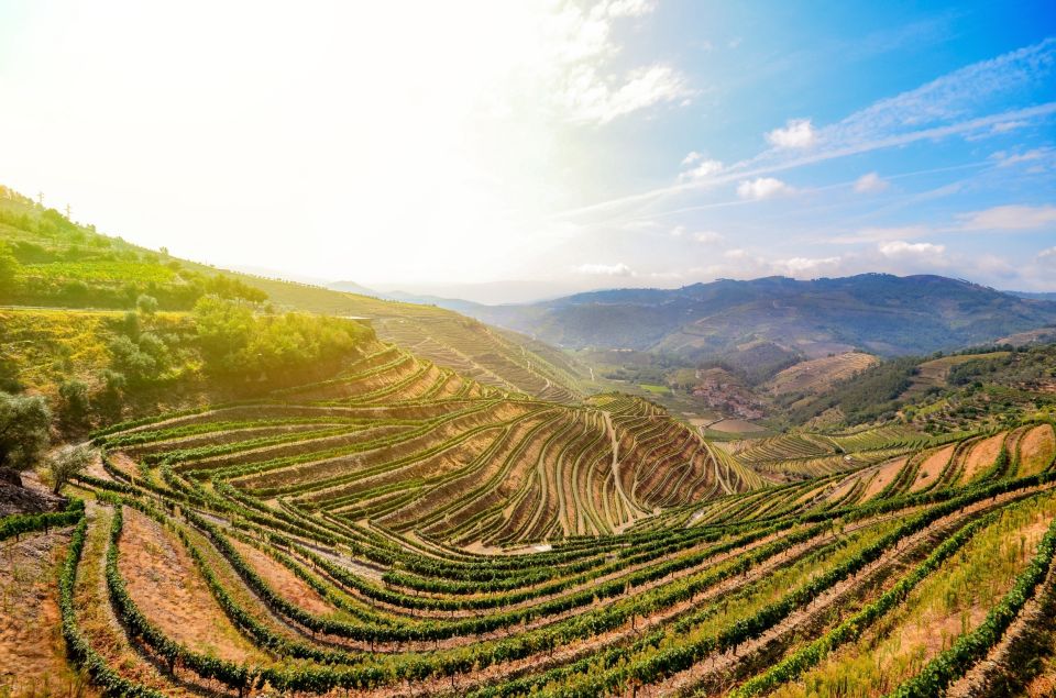 From Peso Da Regua: Douro Valley Tour - Booking and Payment Options