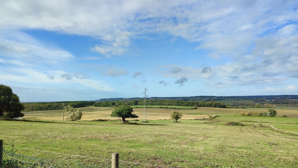 From Poitiers : Guided Tour of the Battlefield of 732 - Booking and Flexibility