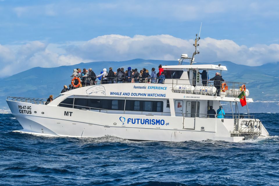 From Ponta Delgada: Whale and Dolphin Watching Trip - Cancellation and Restrictions