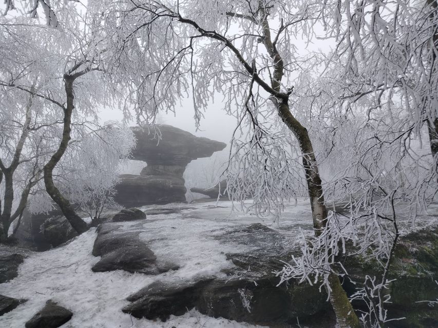 From Prague: Bohemian and Saxon Switzerland Day Trip - Kamenice Gorge and Boat Cruise