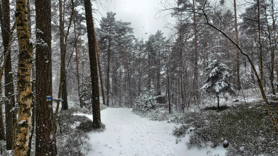 From Prague: Bohemian Paradise - Full-Day Hiking Trip - Meeting Point and Directions