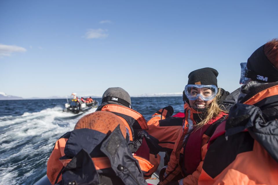 From Reykjavik: Whale and Puffin Watching RIB Boat Tour - Meeting Point and Directions