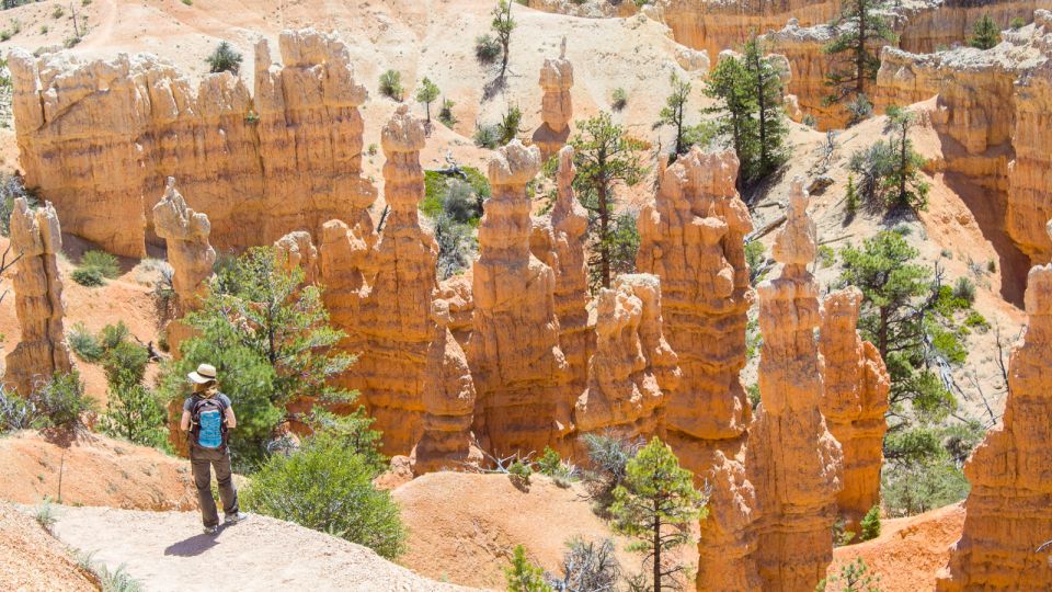 From Salt Lake City: Private Bryce Canyon National Park Tour - Cancellation Policy