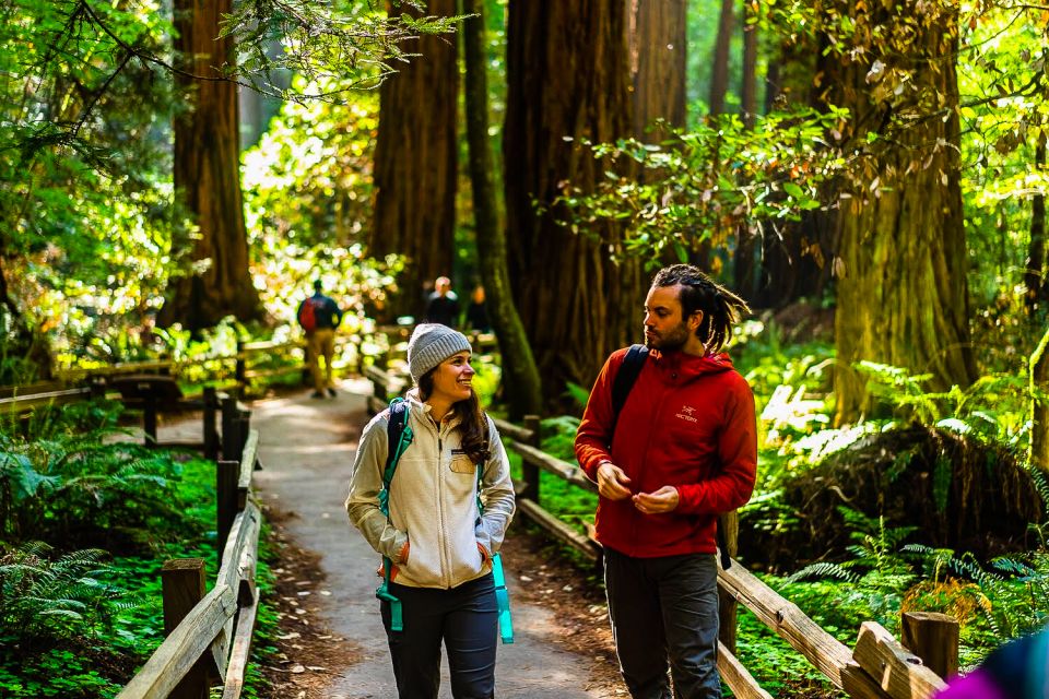 From San Francisco: Muir Woods and Sausalito Half-Day Trip - Availability and Cancellation Policy