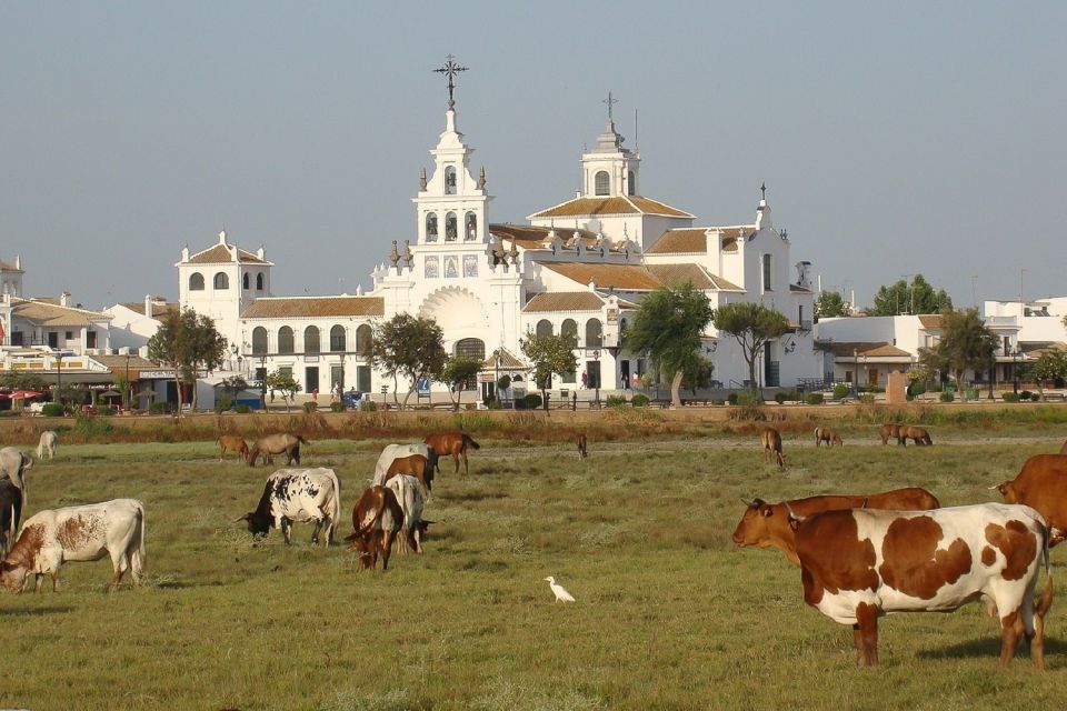 From Seville: Doñana National Park 4x4 Tour - Tips for Your Tour