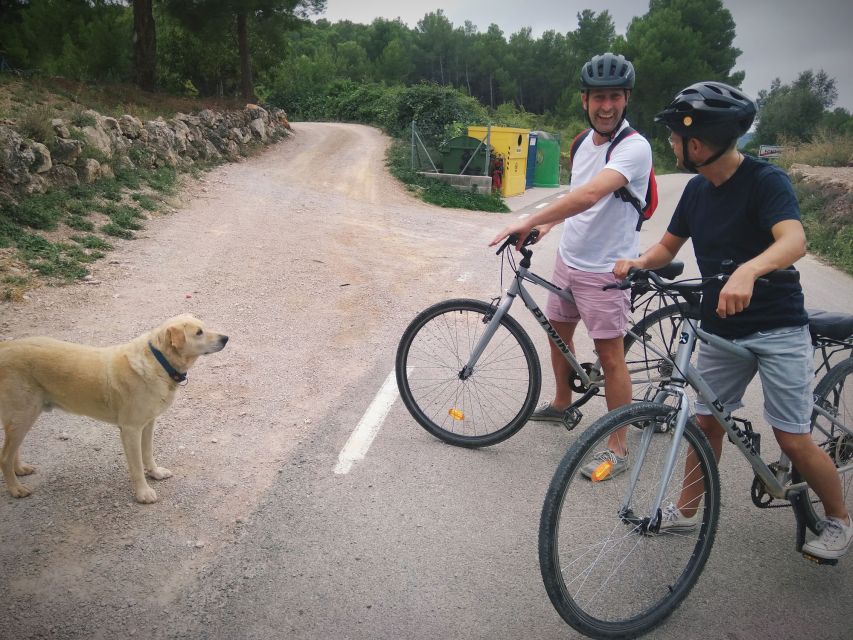 From Sitges: Cycling Tour With Winery Visit and Tasting - Tips for a Great Experience