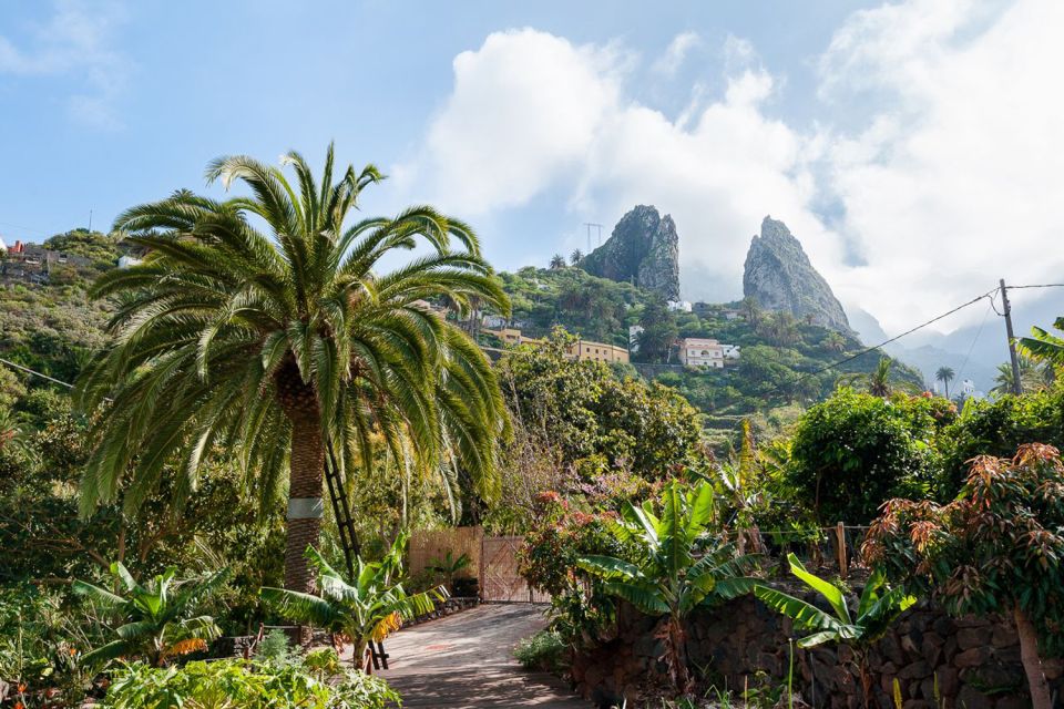 From South Tenerife: La Gomera Island Day Trip With Lunch - Garajonay National Park