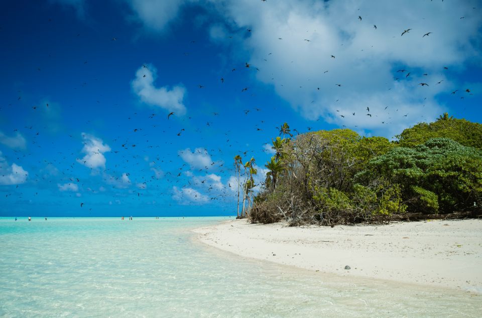 From Tahiti: Tetiaroa Island Tour by Sailing Catamaran - Age Restrictions and Suitability