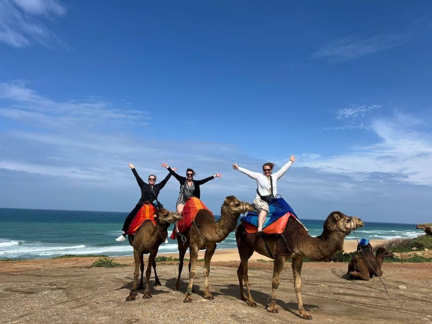 From Tarifa : Tangier Tours With Ticket and Moroccan Food - Pickup and Drop-off Services