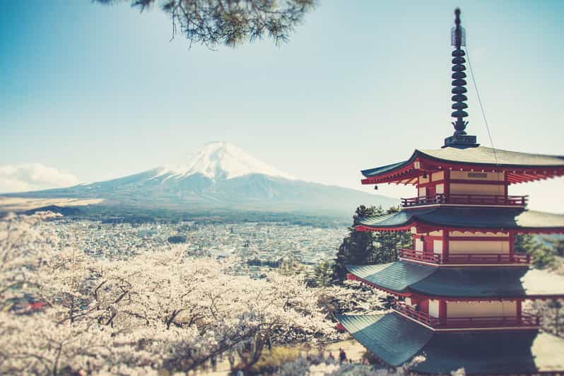 From Tokyo: Mt. Fuji Highlights Customizable Private Tour - Booking and Payment Details