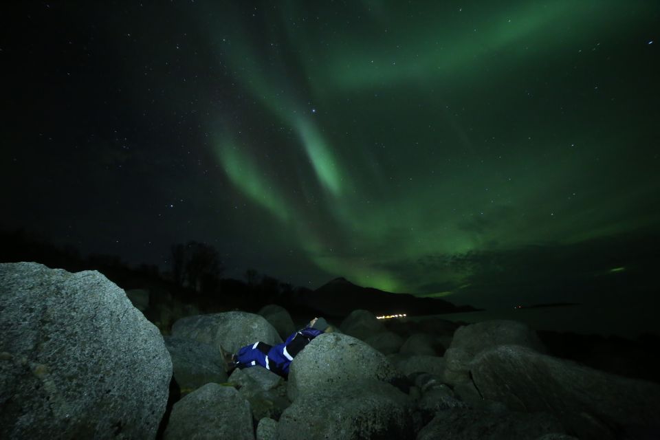 From Tromso: Northern Lights Photography Tour - Photo Portraits and Marshmallow Toasting