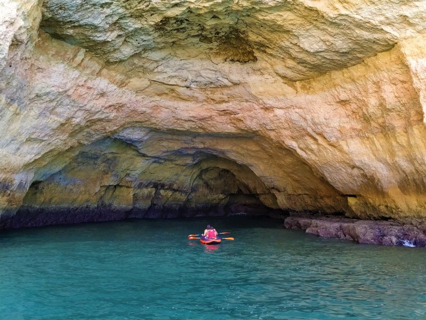 From Vilamoura: 2.5-Hour Benagil Cave and Dolphins Boat Tour - Scenic Views and Wildlife Encounters