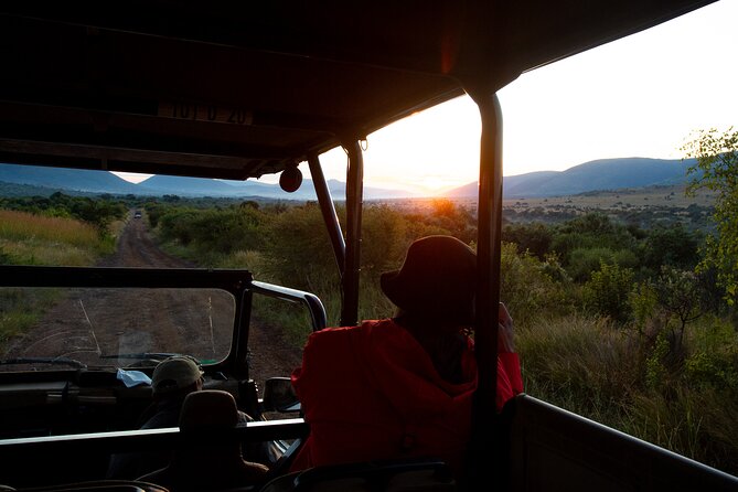 Full Day Pilanesberg Safari Adventure - Customer Feedback and Experiences