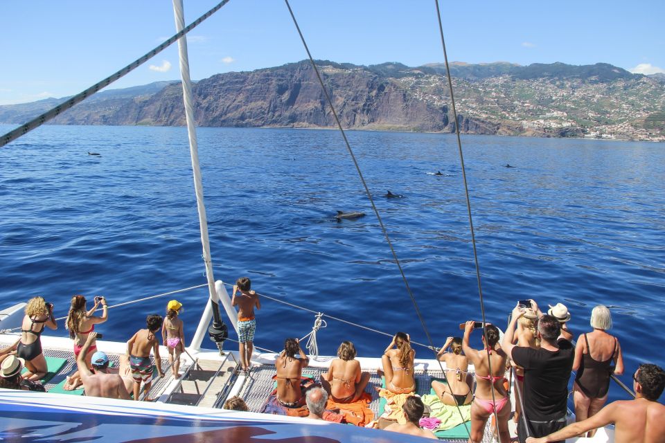 Funchal: Pico Arieiro, Christ the King, and Dolphin Watching - Important Considerations