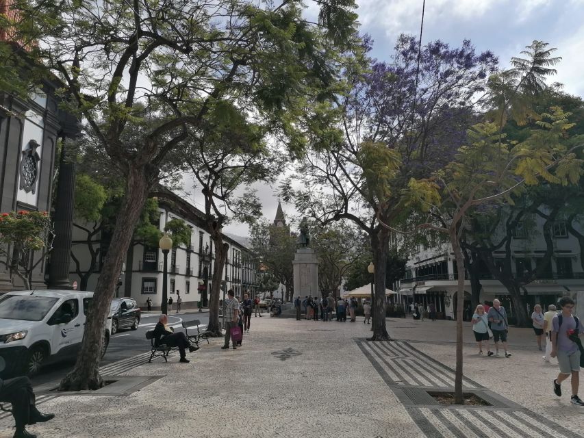 Funchal: Private Guided Tour of Historic Center by Tuk Tuk - History and Heritage of Funchal