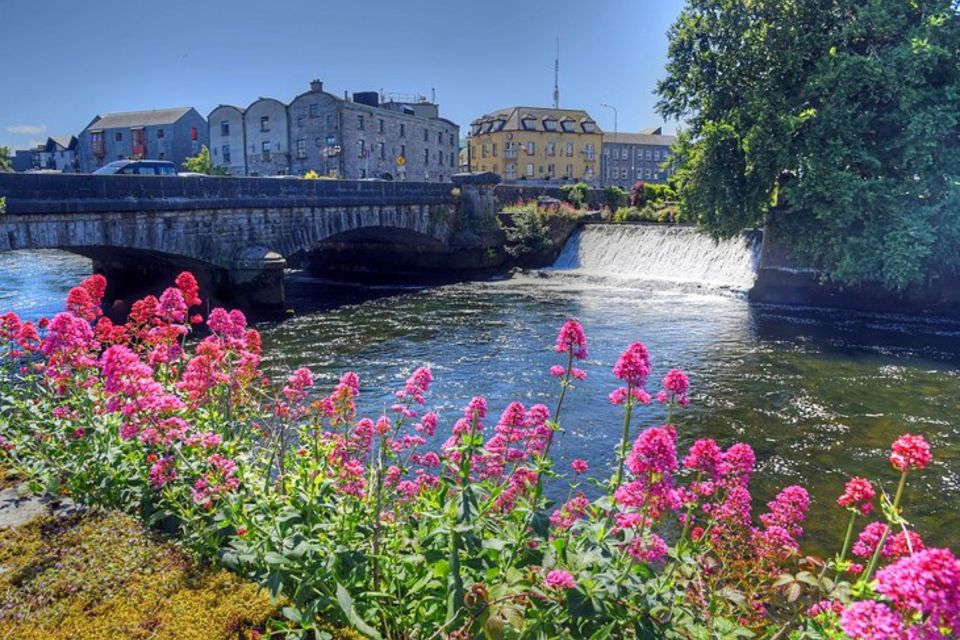 Galway: Guided Ebike City Sightseeing Tour - Stress-Free Tech and Mechanical Support