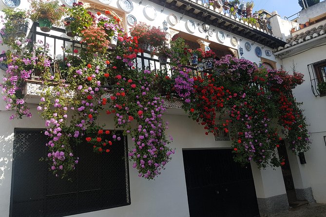 Granada Segway Tour to Albaicin and Sacromonte - Multilingual Guided Experience