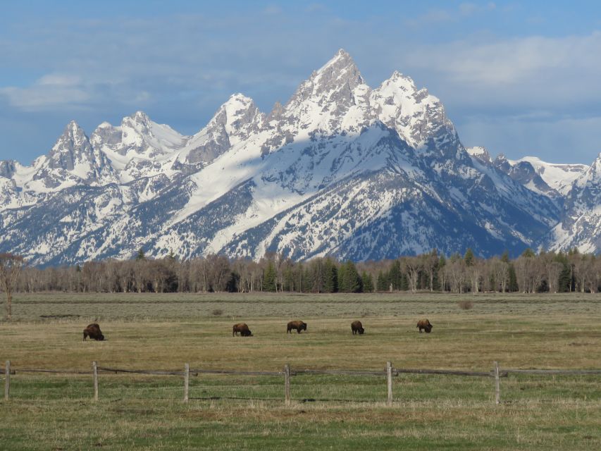 Grand Teton National Park: Full-Day Tour With Boat Ride - Tour Policies and Logistics