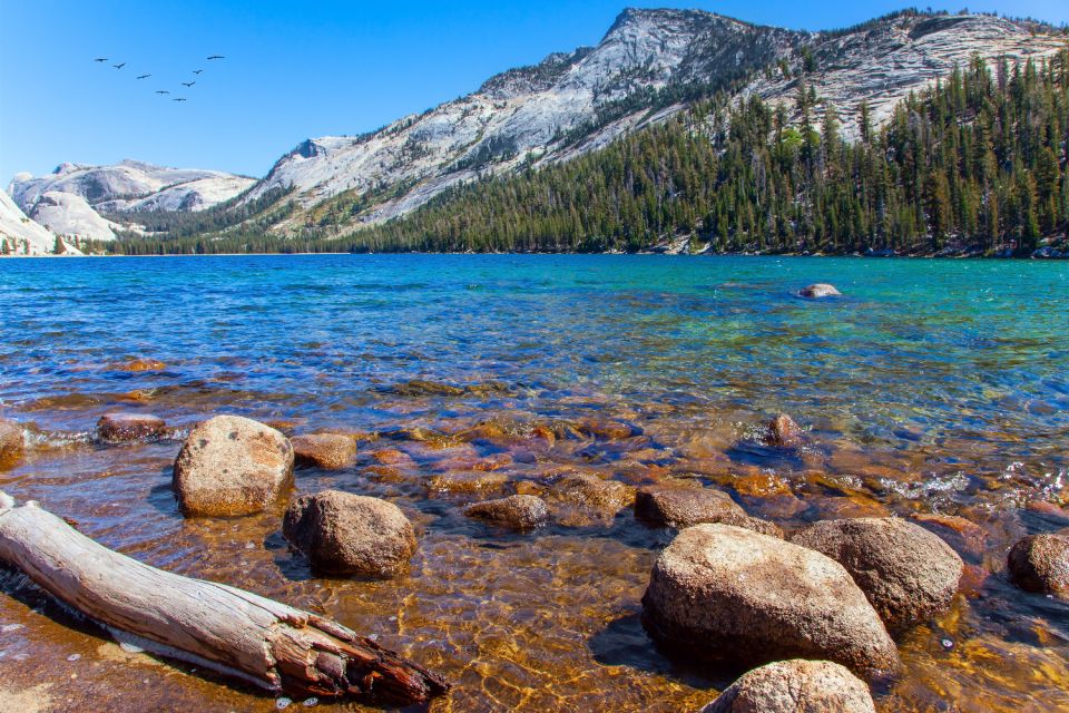 Grand Teton, Yellowstone, Glacier NP: Self-Guided Audio Tour - Going-to-the-Sun Road and Glacier National Park