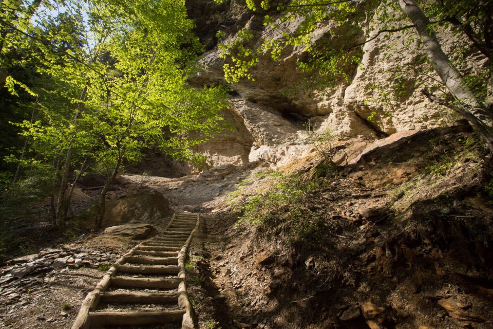 Great Smoky & Shenandoah National Park Driving Audio Tour - Support and Additional Information