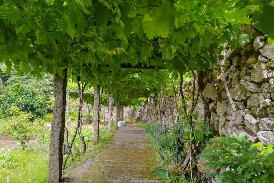 Green Wine Private Wine Tour - Booking and Cancellation